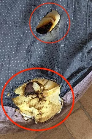 口袋里的电子烟起火后,妈妈的腿“烧得酥脆”