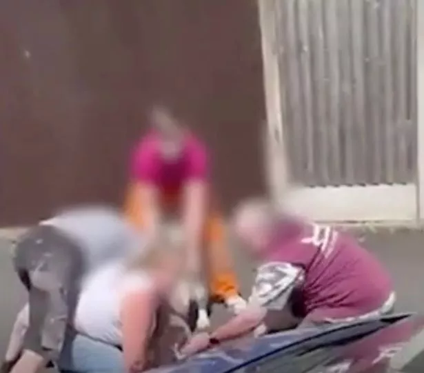 当妈妈尖叫“他杀了我的狗”时，“XL Bully”在街上抓住了拉布拉多犬