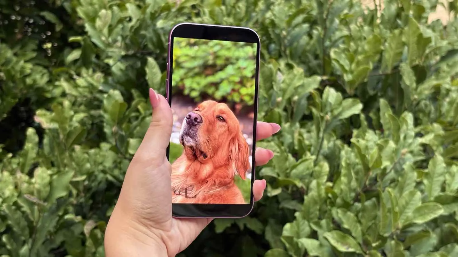 iPhone 17 Pro Max传闻：苹果在智能手机领域的创新变革