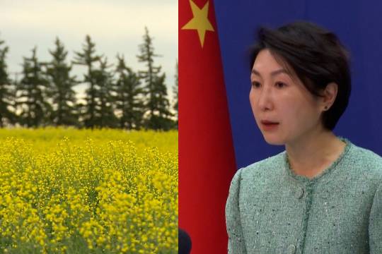 英国关注船舶碰撞后的环境破坏