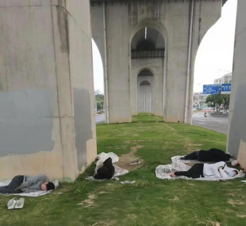 桥洞下的生死瞬间，大哥的死死抓住