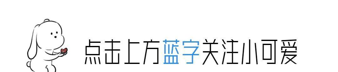 看点
